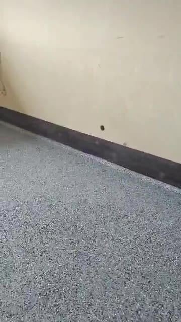 Sol pailleté de bureaux, Akwa